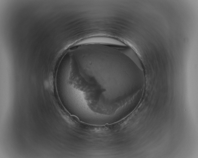 X0000110990345200906261454