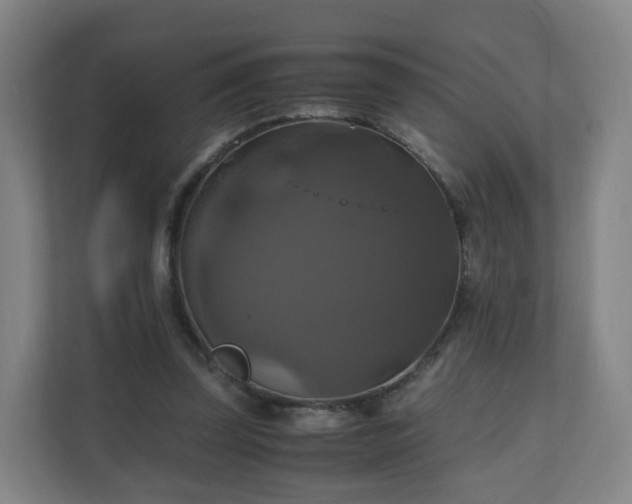 X0000110990347200906261454