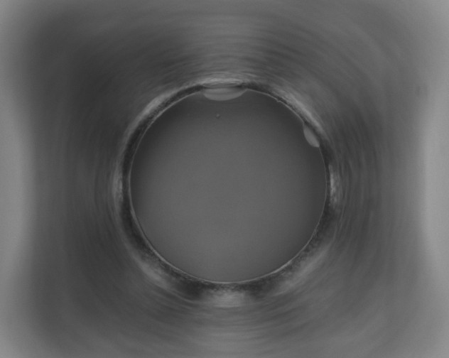 X0000110990348200906261454