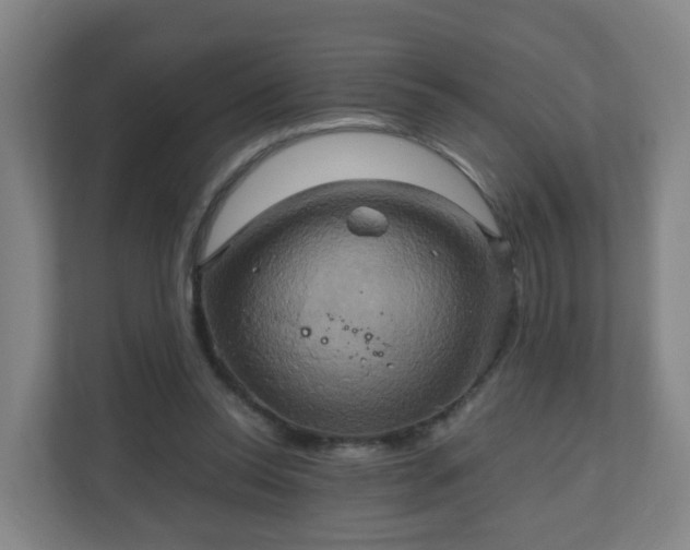 X0000110990350200906261454