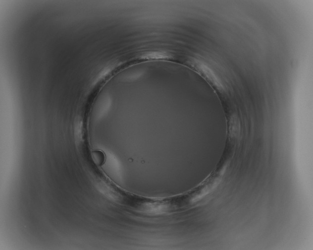 X0000110990351200906261454