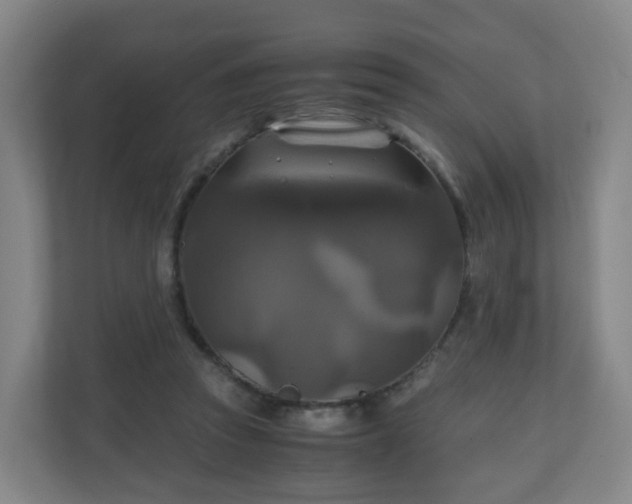 X0000110990353200906261454