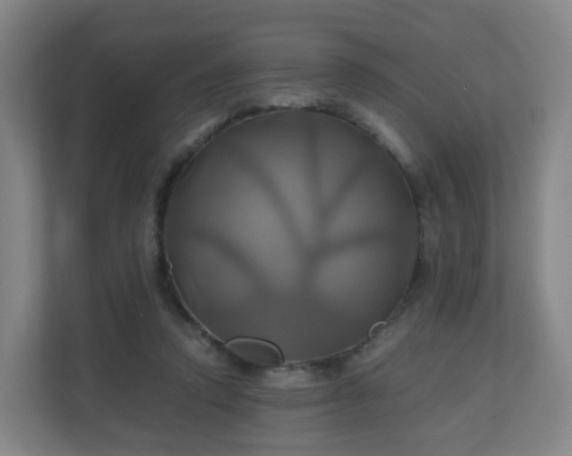 X0000110990354200906261454