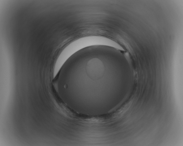 X0000110990356200906261454
