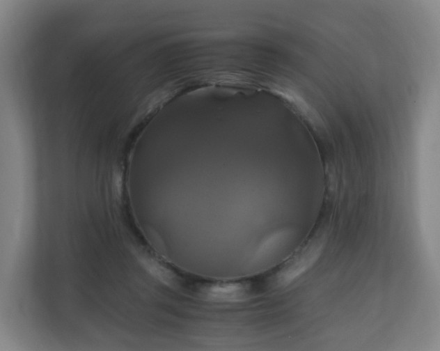 X0000110990357200906261454