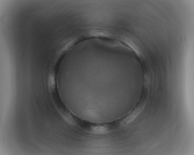 X0000110990358200906261454