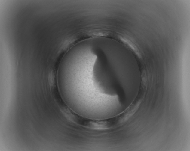 X0000110990359200906261454