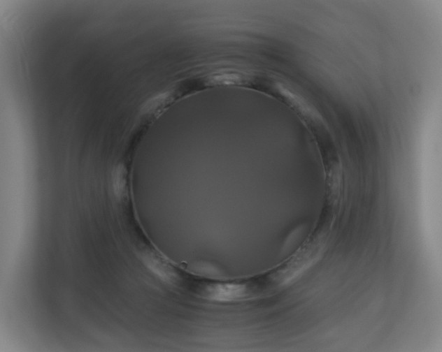 X0000110990361200906261454