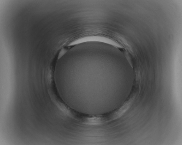 X0000110990362200906261454