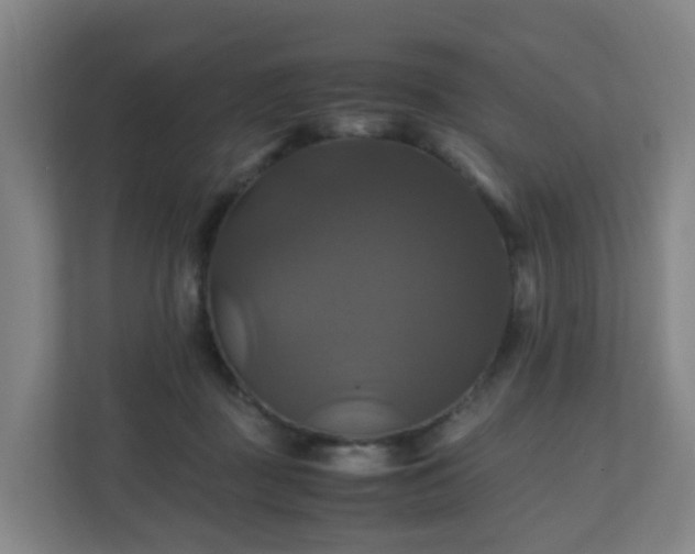 X0000110990363200906261454