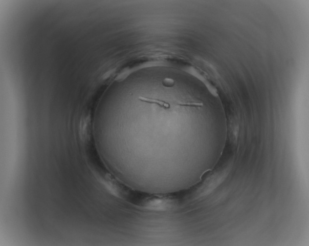 X0000110990364200906261454