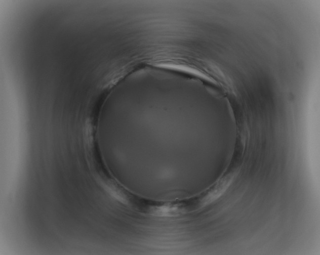 X0000110990366200906261454