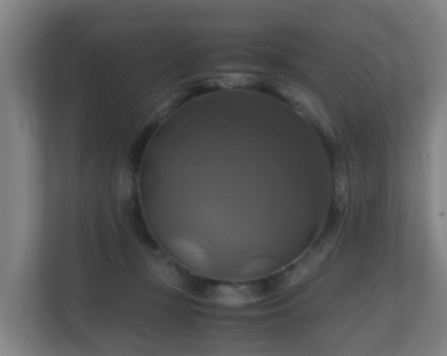 X0000110990367200906261454