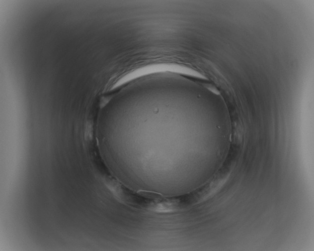 X0000110990368200906261454
