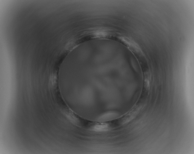 X0000110990369200906261454
