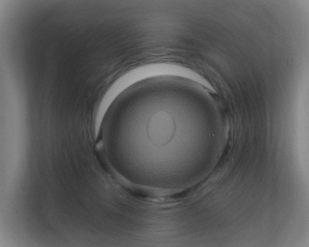 X0000110990372200906261454