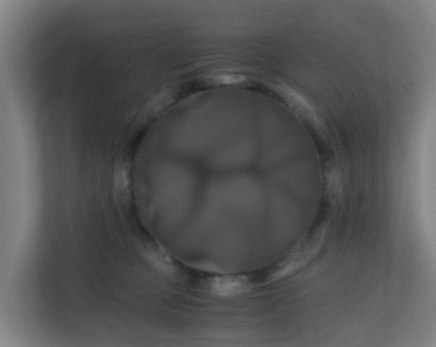 X0000110990373200906261454