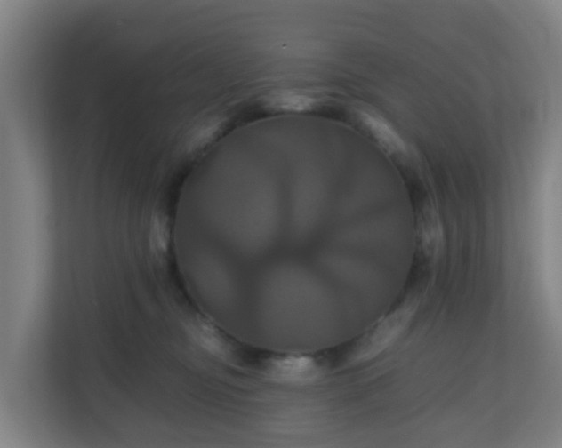 X0000110990374200906261454