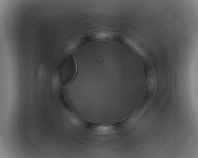 X0000110990375200906261454