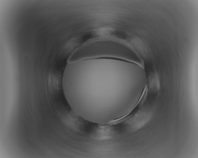 X0000110990376200906261454