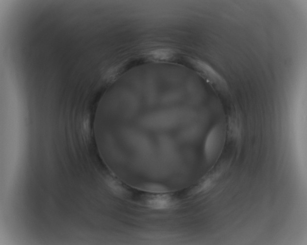 X0000110990377200906261454