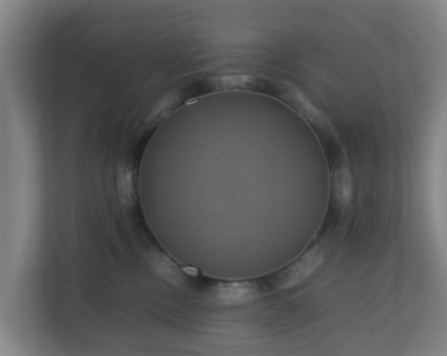 X0000110990378200906261454