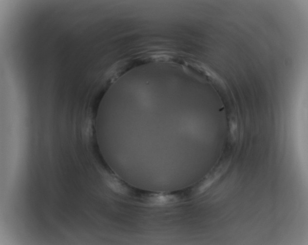 X0000110990379200906261454