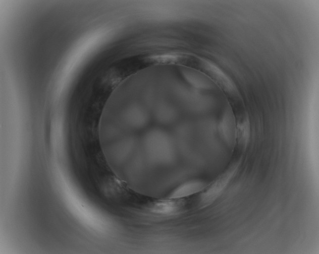 X0000110990381200906261454