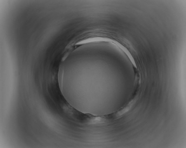 X0000110990382200906261454