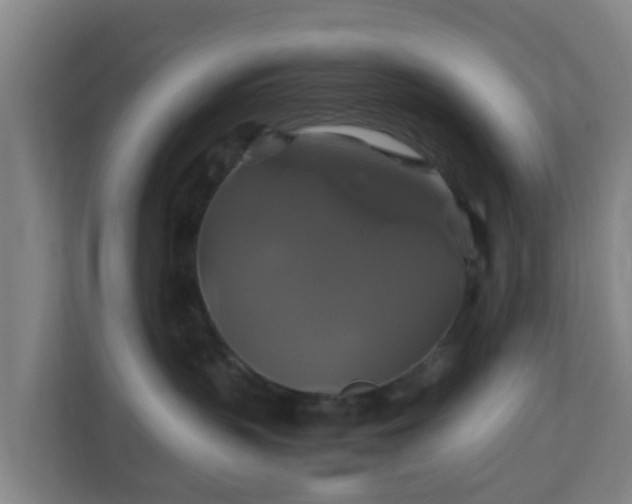 X0000110990383200906261454