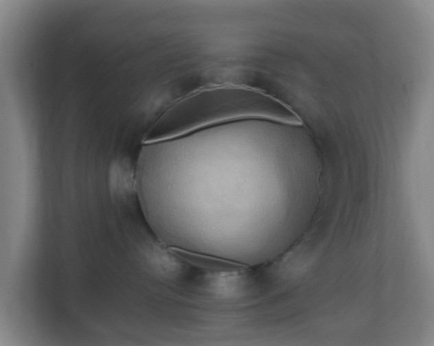 X0000110990384200906261454