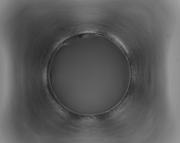 X0000110990386200906261454