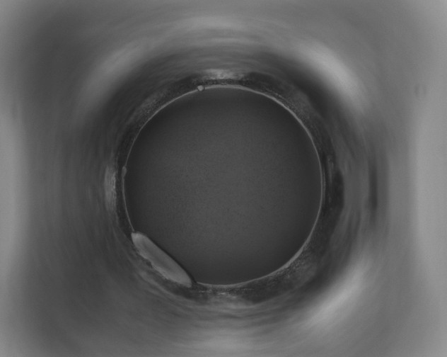 X0000110990387200906261454