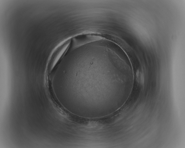 X0000110990388200906261454