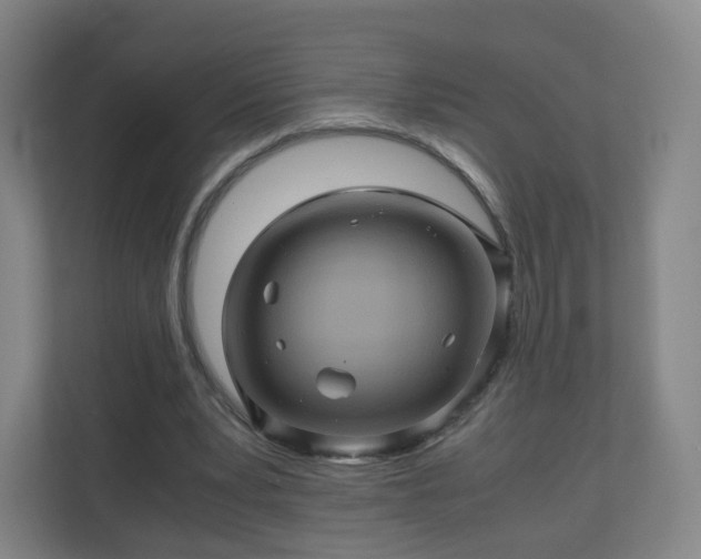 X0000110990391200906261454