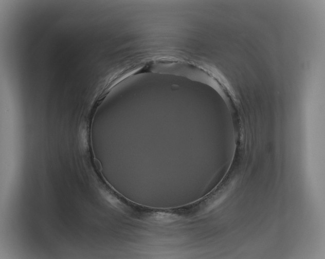 X0000110990393200906261454