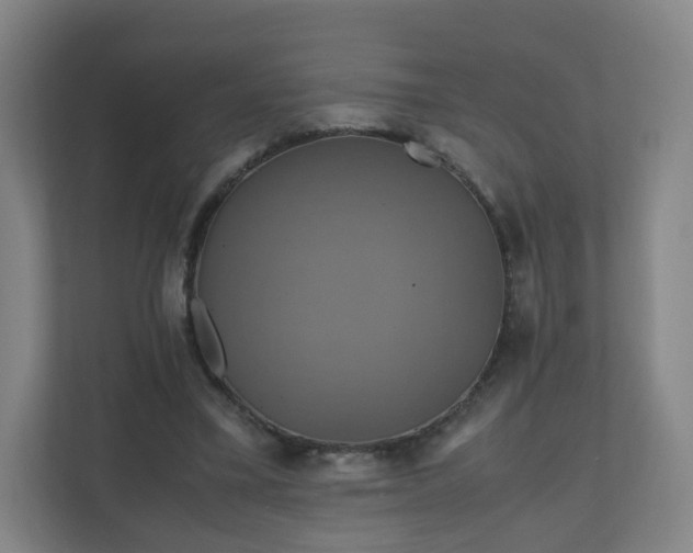 X0000110990395200906261454