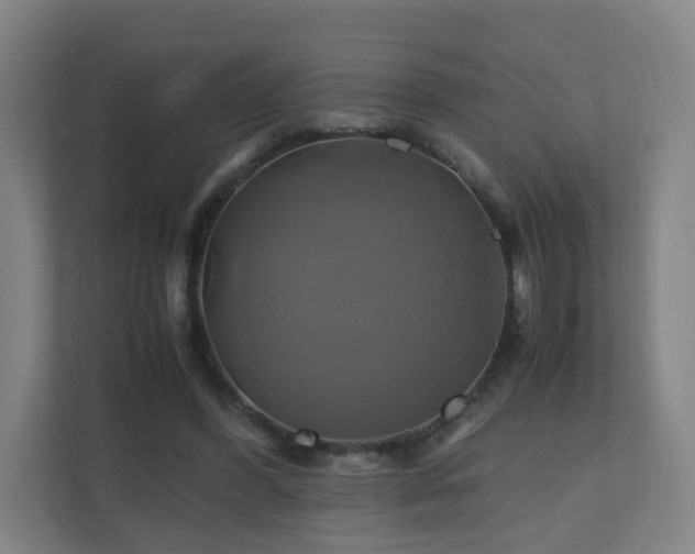 X0000110990396200906261454