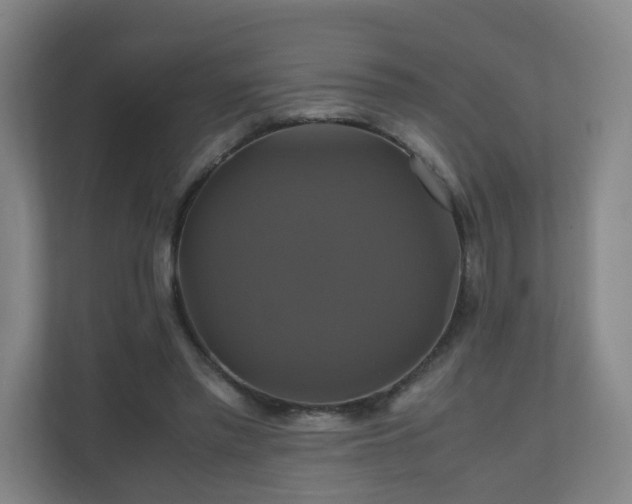 X0000110990397200906261454