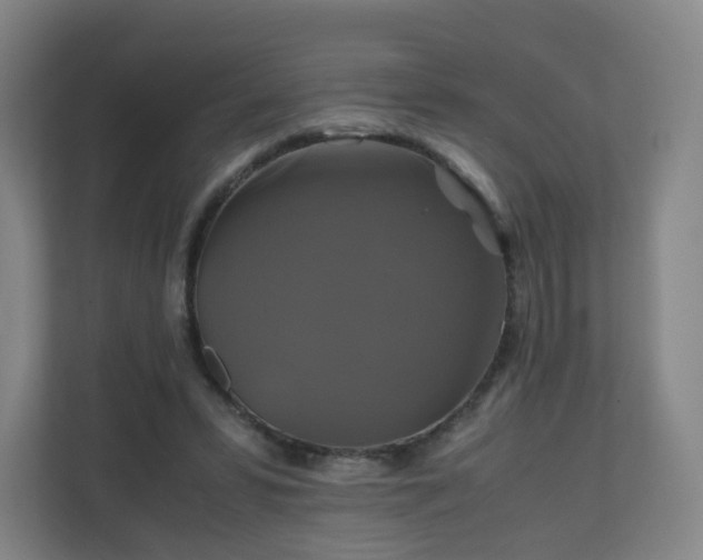 X0000110990399200906261454