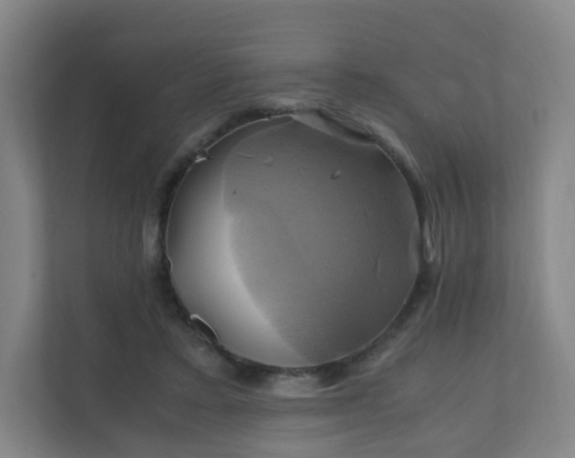 X0000110990403200906261454