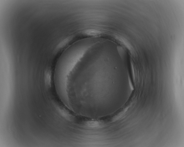 X0000110990404200906261454