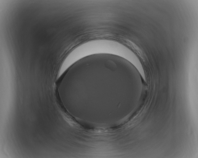 X0000110990405200906261453