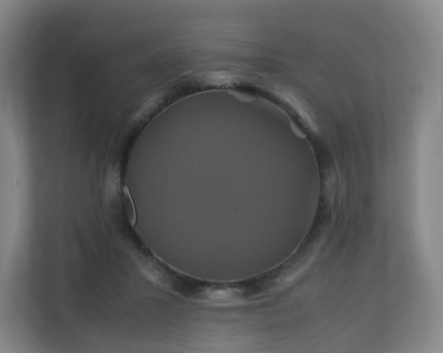 X0000110990407200906261453