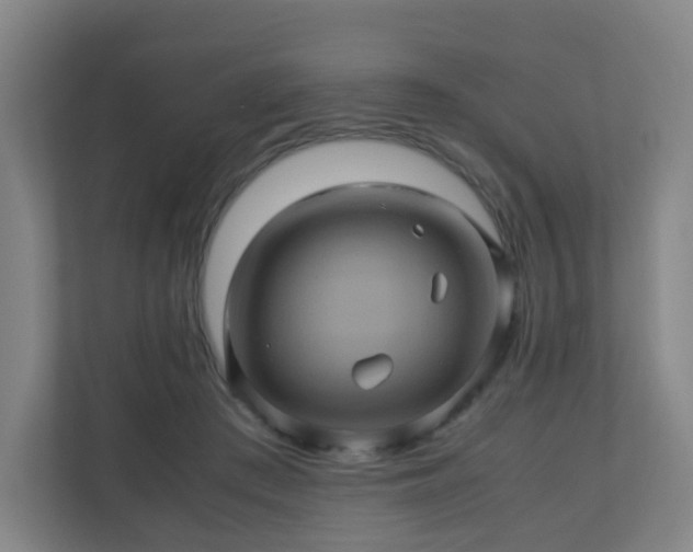 X0000110990409200906261453