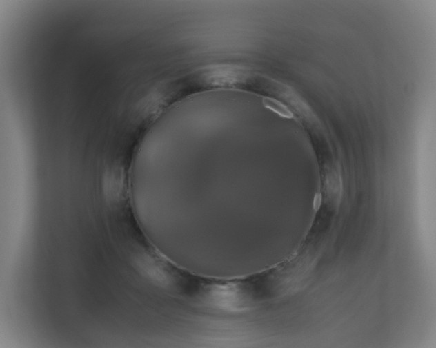 X0000110990411200906261453