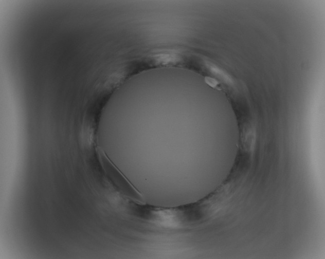 X0000110990417200906261453