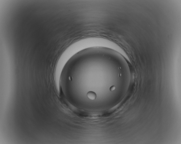 X0000110990419200906261453
