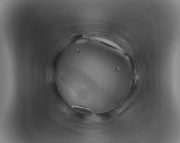 X0000110990421200906261453