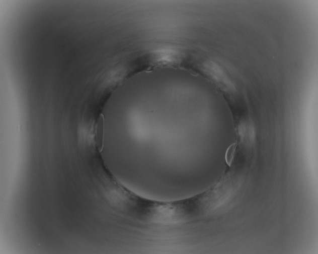 X0000110990423200906261453